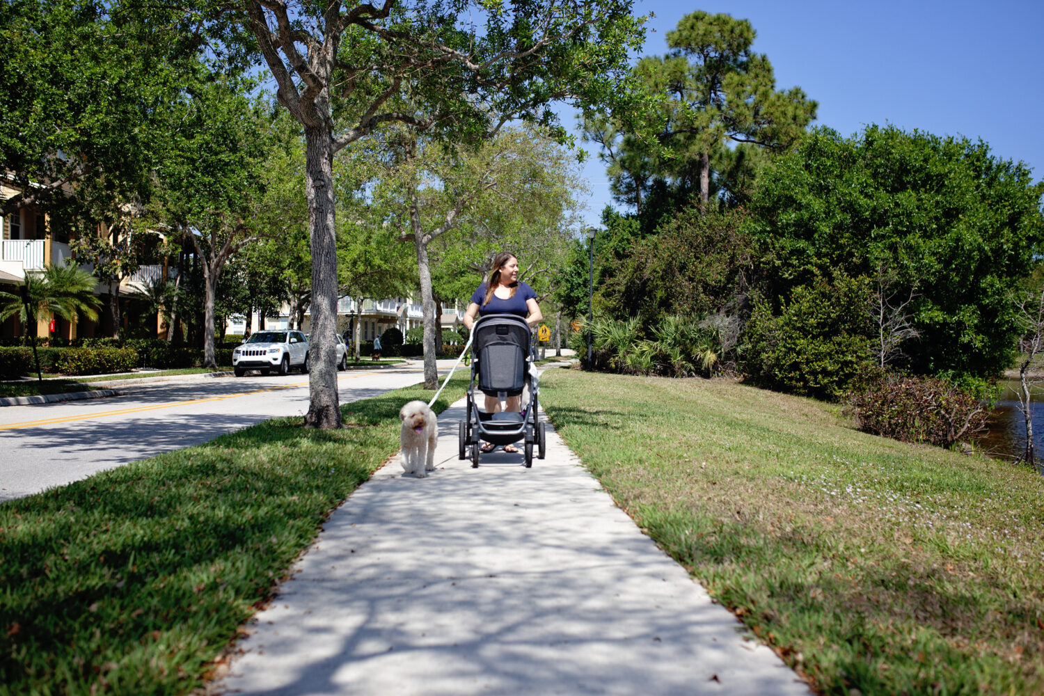 Mom walking dog and baby in stroller in her neighborhood 