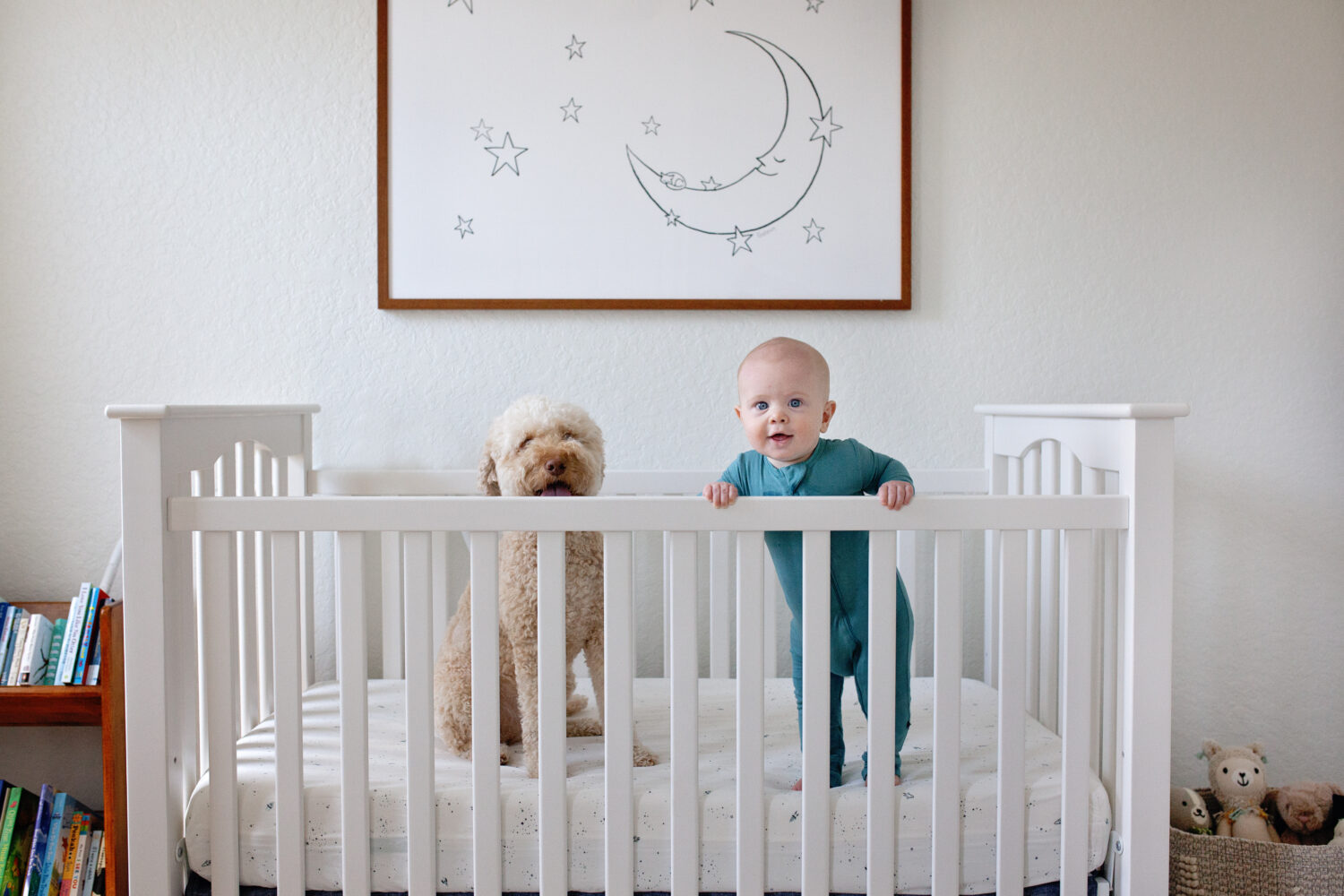 Baby boy and dog in crib laughing