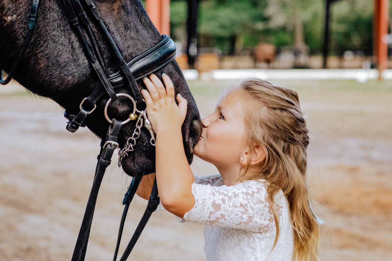 Little girls kissing a horse on his nose