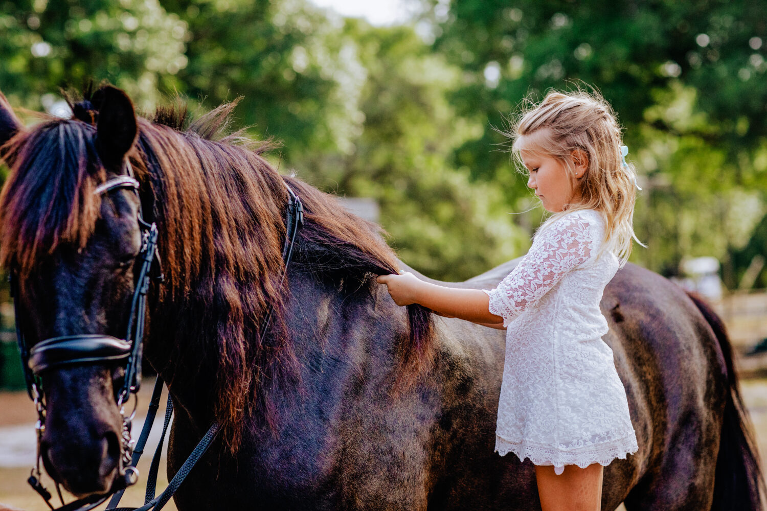 Little girls getting ready to get on to a horse