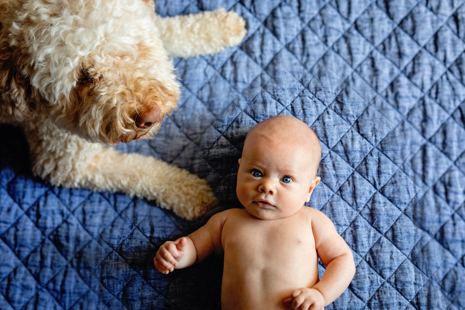 Adorable baby and his dog lying on a blanket